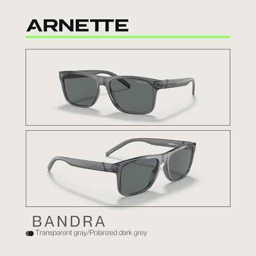 ARNETTE Bandra AN4298 Square Sunglasses for Men +BUNDLE with ACCESSORY EYEWEAR KIT
