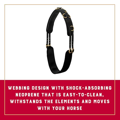 Adjustable Horse Surcingle with Shock-Absorbing Neoprene & Brass Buckles - Fits 68-72 Inches