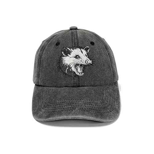Embroidered Baseball Hats for Men and Women