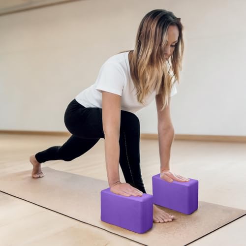 Deep Purple 2 Pack Yoga Blocks - Lightweight 9x6x3 Inch Foam Support