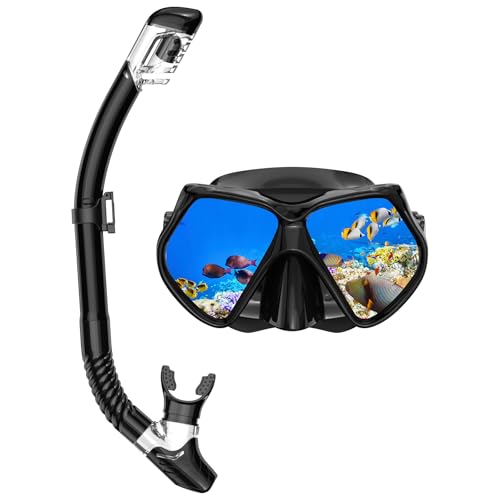 Black Adult Snorkeling Set with Mask & Dry-Top Snorkel - Panorama View