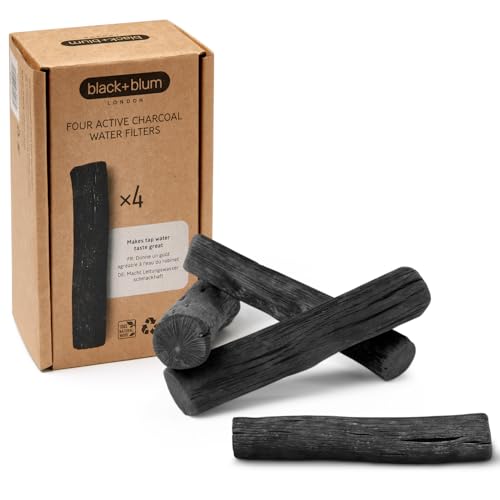Charcoal Water Filter Sticks 4 Pack - Lasts 6 Months, No Locking Coil
