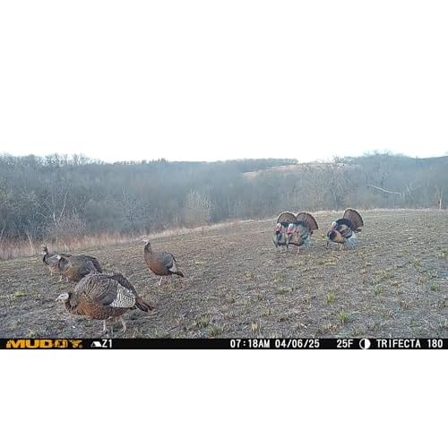 Muddy Trifecta 180 Degree Cellular Trail Camera 36MP