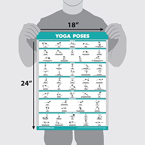 Palace Learning QuickFit Yoga Position Exercise Poster - Yoga Asana Poses Chart - Laminated, 18" x 27"