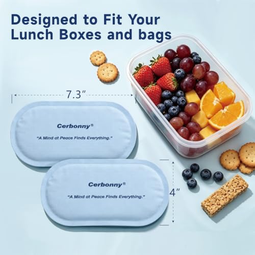 Cerbonny Reusable Slim Ice Packs for Cooler - Assorted Light 4 Pack