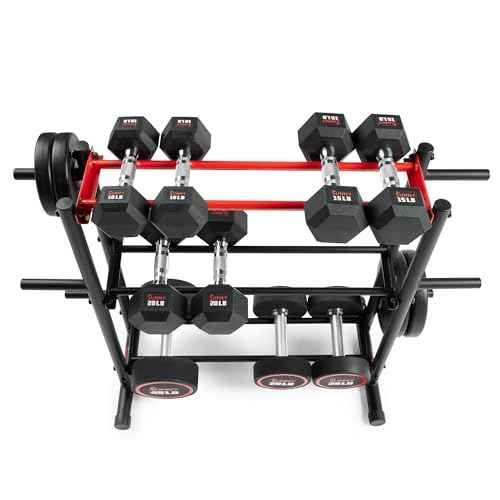 Sunny Health & Fitness Multi-Weight Storage Rack Stand for Dumbbells, Kettlebells, Olympic Weight Plates, Barbell, Medicine Ball
