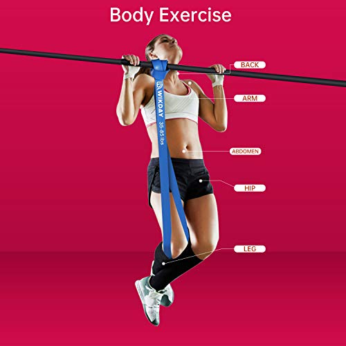 Resistance Bands for Workout & Physical Therapy - Blue, 81.9in, 35-85lbs
