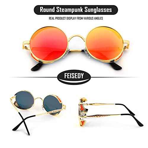 FEISEDY Retro Steampunk Polarized Sunglasses for Men Women, Round Metal Frame Gothic Vintage Style B2820