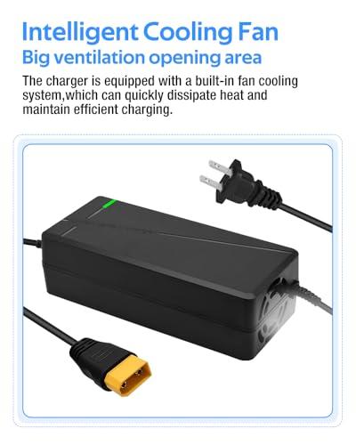 84V 5A Fast Lithium Battery Charger with Cooling System and XT90 Plug