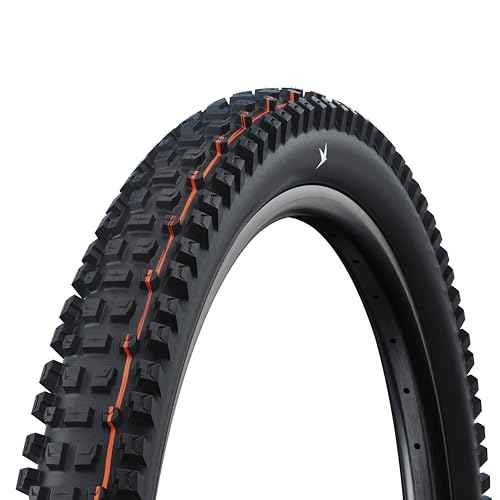Schwalbe Albert Radial TLR Folding Tyre