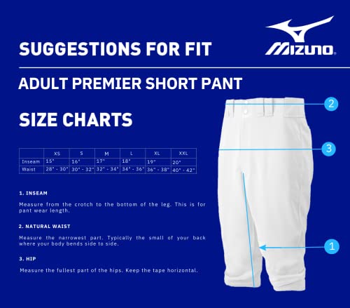 Mizuno Unisex Adult Premier Short Pant - Medium Black