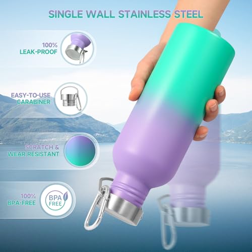 Uninsulated 32oz Stainless Steel Water Bottle with Handle - Purple Green