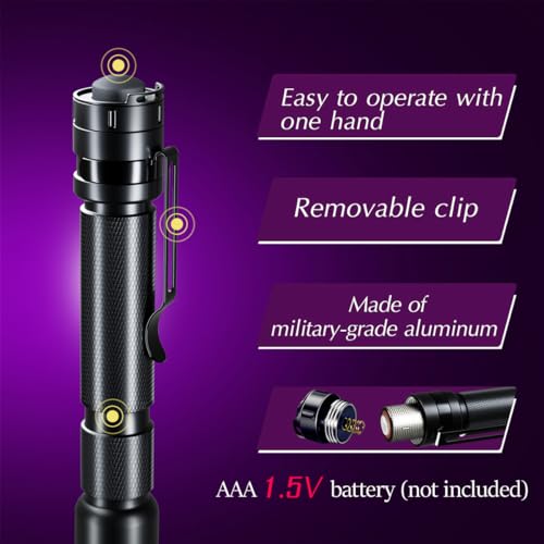 UV Blacklight Flashlight Set - 2 Pack, Black & Gold, 395nm Detection Pen