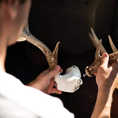DIY Antler Mounting Kit with Skull Cap for Wall or Table Display - Adjustable & Durable