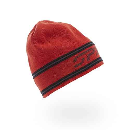 Spyder Mens Retro Logo Knit Hat