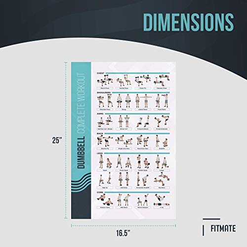 Dumbbell Exercise Poster - 24.8" x 16.5" Laminated Home Gym Workout Guide