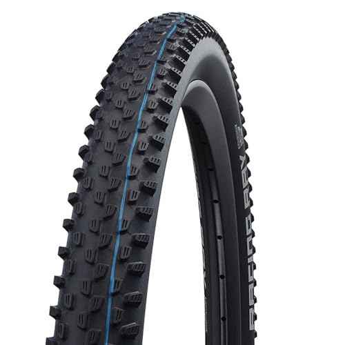 Schwalbe Racing Ray Tire - 29 x 2.1, Tubeless, Folding, Black, EvolutionLine, Snakeskin, Addix Speedgrip