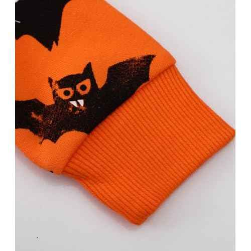 LOKTARC 2 Pack Toddler Boys Sweatshirts Patterned Long Sleeve Pullover Crewneck Tops Shirts