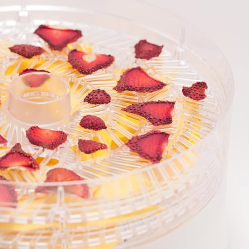 Food Dehydrator with 5 BPA-Free 9.25” Trays - White, CCD100W6