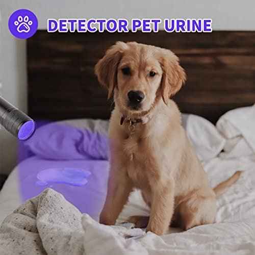 10 Pcs UV Black Light Flashlights Bulk, 9 Led 395-400nm Mini Blacklight Handheld Portable Torch Pet Urine Detector for Bed Bug, Hair, Dog Cat Urine and Stains Batteries Included
