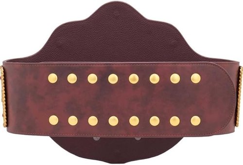 TRUESAGAUSA 4mm Dual Plate Big Gold Heavyweight Wrestling Title Belt Class One Replica Leather Strap Great Gift to Your DaD (Brown Strap)