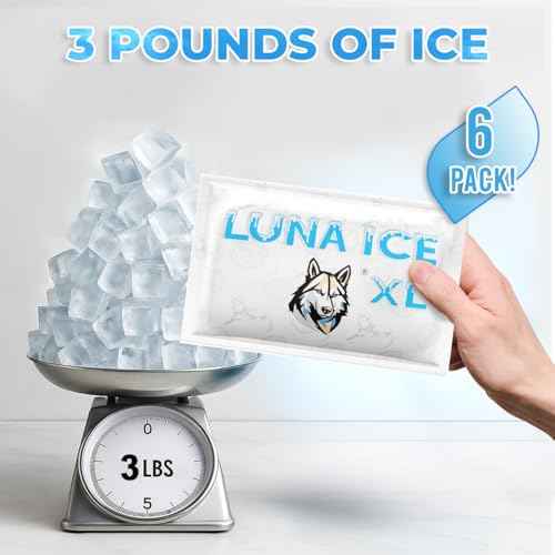 LUNA ICE Dry Ice Packs for Shipping XL - Long lasting ice packs - 24+ Hour Freeze Power - BPA Free - 6 Pack Bulk 3 lb ? Hielo Seco - Reusable Gel Bricks for Food