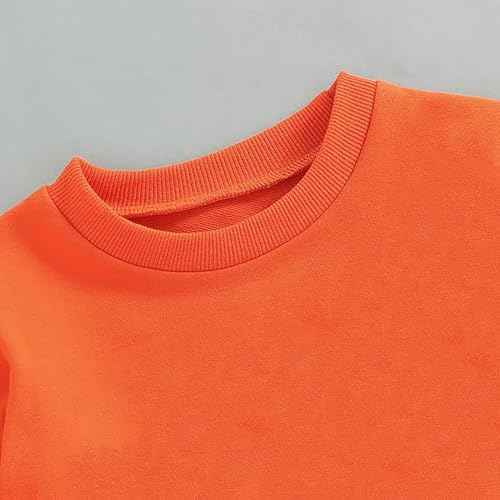 Halloween Sweatshirt Kids Glow in the Dark Dinosaur Shirt Boys Pumpkin Tops Bat Long Sleeve Cotton Outfits 1-7T