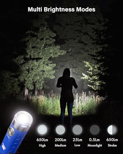 Mini Keychain Flashlight 650 Lumens Blue - USB-C Rechargeable, Compact EDC Light