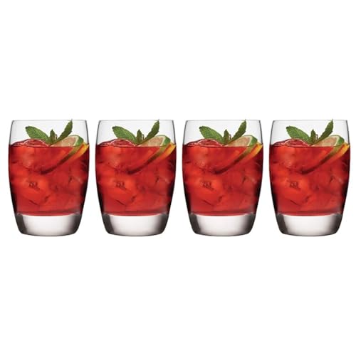 Luigi Bormioli Michelangelo Whisky Glasses Set of 4, 9 Oz Clear Drinking Glasses