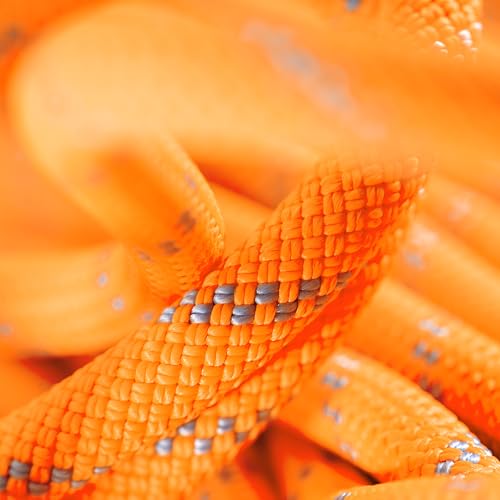 Mammut Alpine Dry Rope - 9.5mm, Vibrant Orange/Zen, 70m