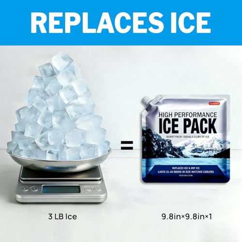 Medium Reusable Ice Packs for Coolers 5 Pack - Gel-Free Freezer Blocks