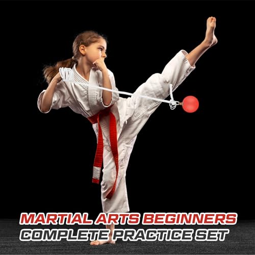 Martial Arts Practice Rope Dart Set with Rubber Meteor Hammer for Beginners