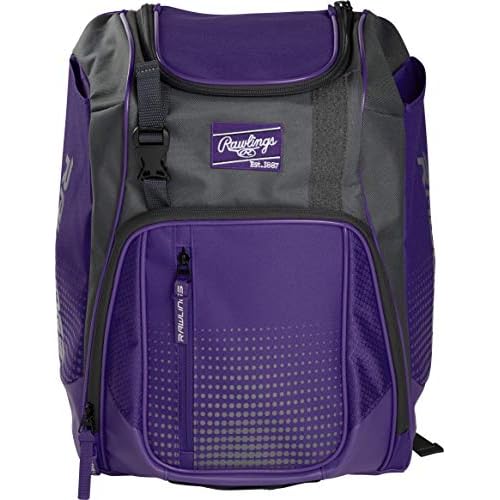 Rawlings | FRANCHISE Backpack Equipment Bag | Baseball/Softball | Rec/Travel | Multiple Styles