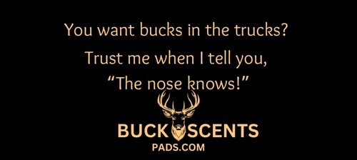 Buck Scent pads.com ~ Scent Cover and Lure Pads ~ 5 Pad Package ~ Estrus ~ Peanut Butter Power ~ Corn Crunch ~ Persimmon ~ Acorn (Estrus ~ Scent Cover and Lure Pads)