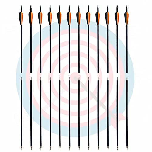 12 Pack Carbon Arrows for Takedown Longbow Recurve & Compound Bow 30 Inch Spine 500