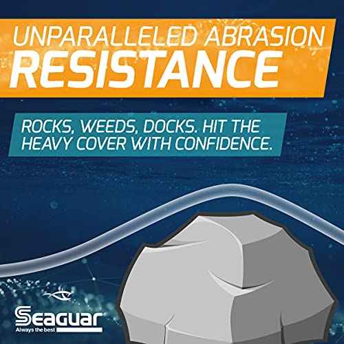 Seaguar Blue Label Fishing Leader Line for Saltwater, 100% Fluorocarbon, Clear, Multiple Sizes
