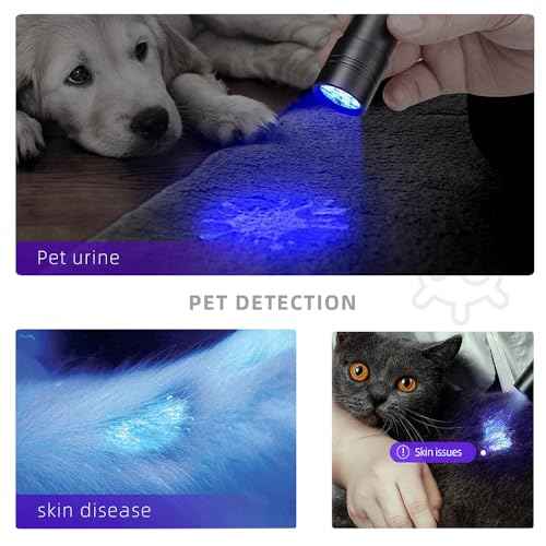 BEIKE UV Blacklight Flashlights, 12 LED 395nm Ultraviolet Blacklight (2 PCS) ? Mini Portable UV Detector for Dog Urine, Pet Urine Detector Light for Stains, Bed Bugs, Resin Curing£¬Scorpions Finder