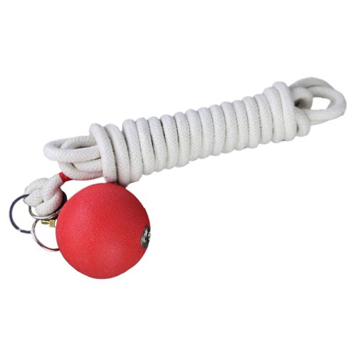 Rope Dart Trainer Rope Dart Meteors Hammer Rubber Throw Practice Rubber Weight Throw Exercise Ball Martial Arts Fitness Equipment for Chinese Traditional Kung Fu
