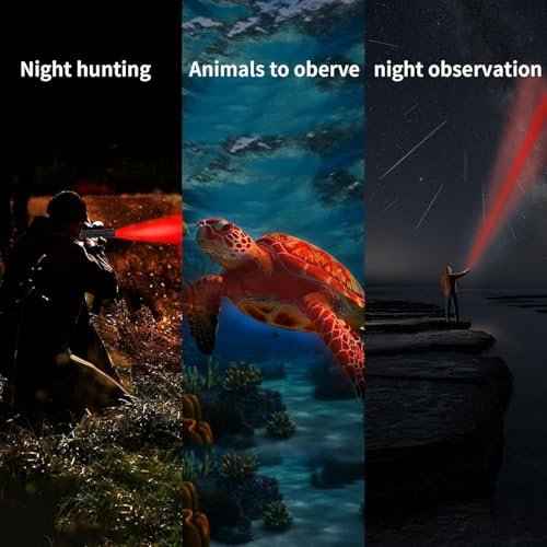 2 Pack LED Rechargeable Red Flashlight, LED Small 395 NM Black Flashlight with Memory Function, Super Bright Zoomable Red Light Black Lights Flashlights with USB C Charging for Camping Hiking Home