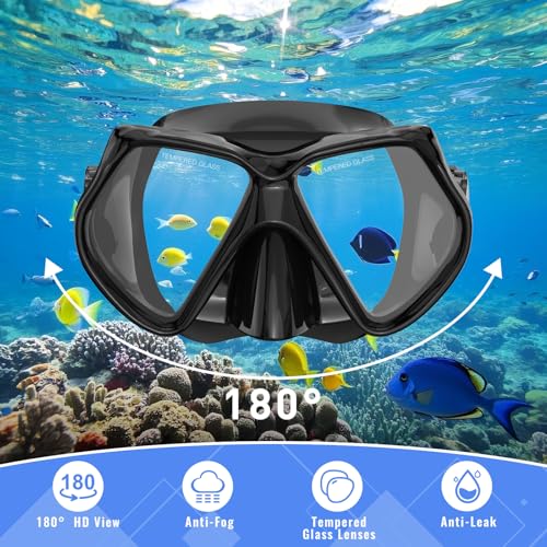 Black Adult Snorkeling Set with Mask & Dry-Top Snorkel - Panorama View