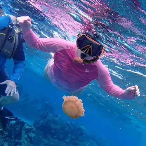Snorkeling Gear for Adults, Dry-Top Snorkel Set Scuba Diving mask, 180¡ÆPanoramic Wide View Professional Snorkeling Gear Breathing Freely Snorkel Mask