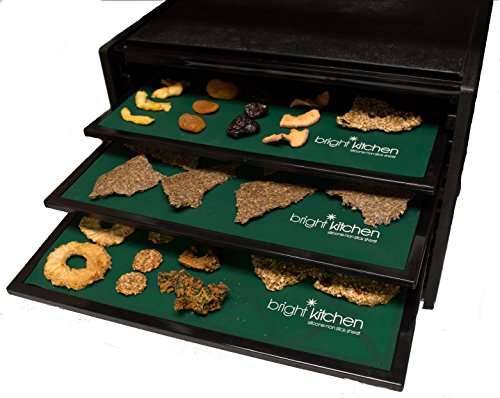 Silicone Dehydrator Sheets Set of 9 - Food Grade Non-Stick for Excalibur