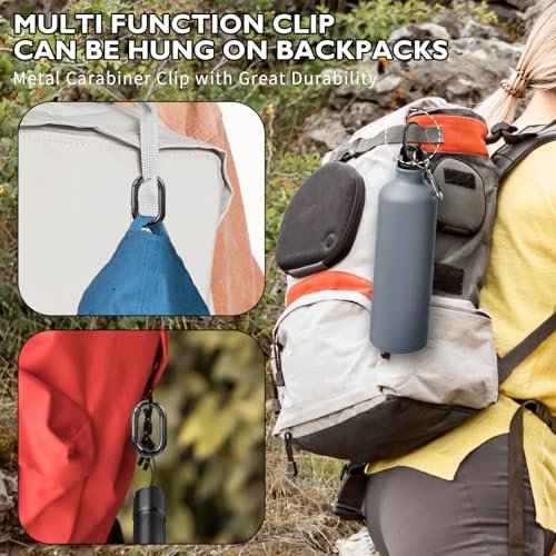 10Pcs Small Carabine Mini Carabiner Clip 1in Spring Snap Hook Heavy Duty for Car Keychain Hooks Camping Climbing