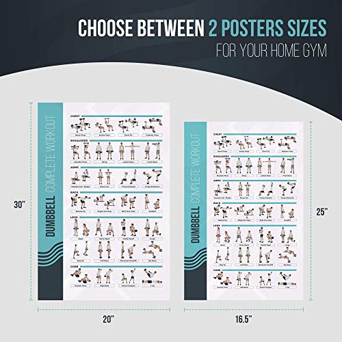 Dumbbell Exercise Poster - 24.8" x 16.5" Laminated Home Gym Workout Guide