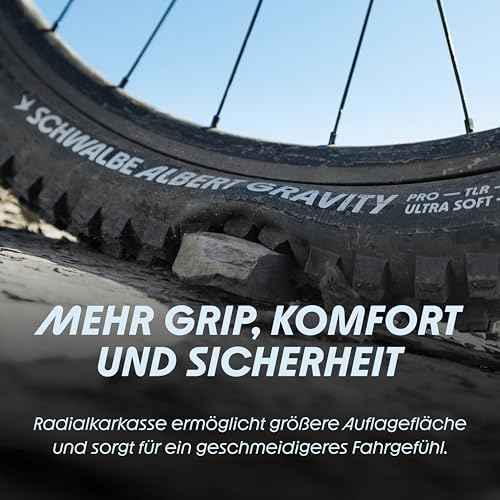 Schwalbe Albert Radial TLR Folding Tyre