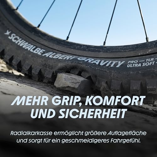 SCHWALBE Albert Tire - 29 x 2.50, Tubeless, Folding, Black, Evolution Line, Gravity Pro, Addix Soft, Radial, E-50
