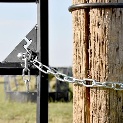 Heavy Duty Stainless Steel Chain with 4 Carabiners - 2 Pack for Gym Hammock Swing Punching Bags