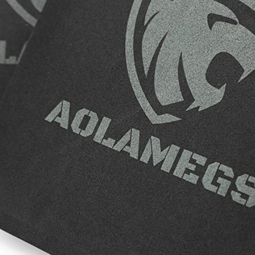 Aolamegs Tactical Foam SAPI Shock Plate,2 Pcs EVA Foam for Airsoft Soldier Gear Vest Inner Liner
