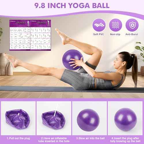 Pilates Ring Set with Resistance Bands Set, Pilates Ball, Sliding Disks ? Workout Equipment Home Gym Includes Complete Fitness Poster