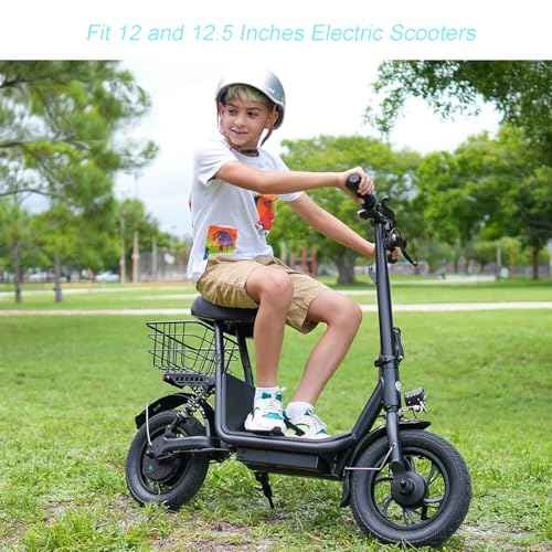 Loxan 2 Pack 12.5x2.25 Bike Inner Tubes Compatible with 12 and 12.5 inches Electric Scooters, 12 1/2 x 2 1/4 inch Replacement Bicycle Tubes with Angled Valve Stem for Electric Bike, E-Bike